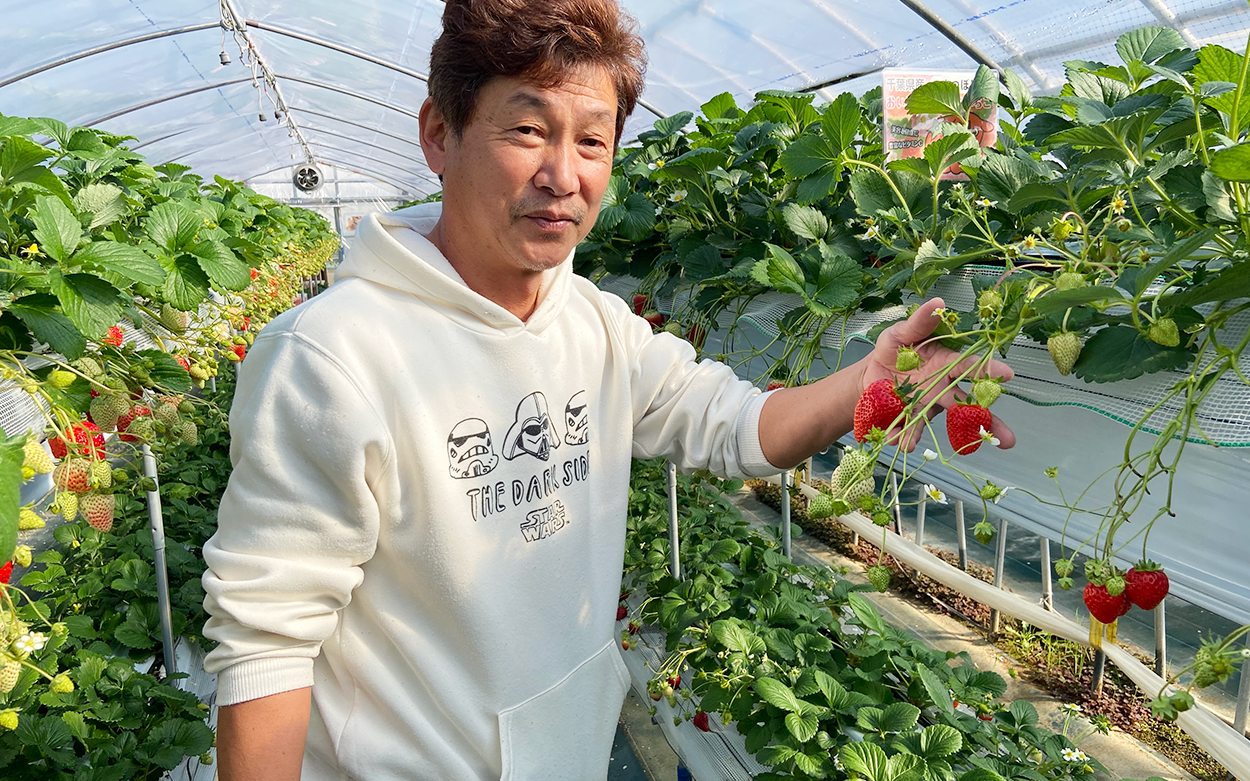 梶苺園オーナー