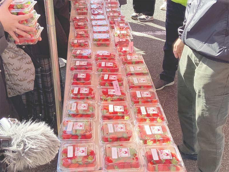 販売用の苺パック